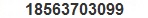 18563703099